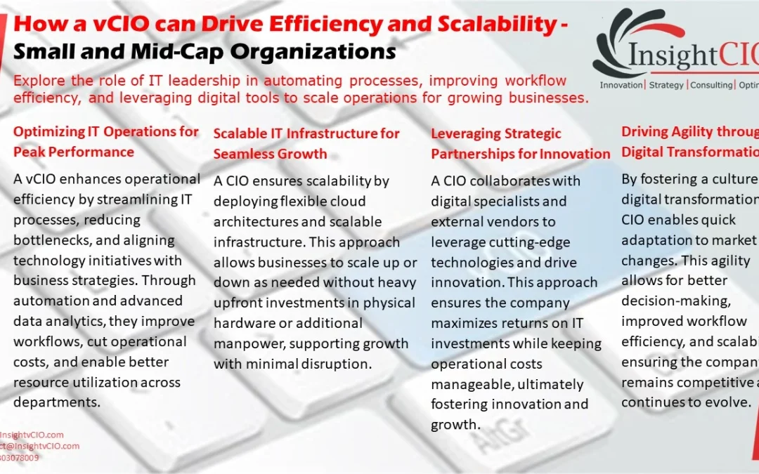 How a vCIO can Drive Efficiency and Scalability – Small and Mid-Cap Organizations